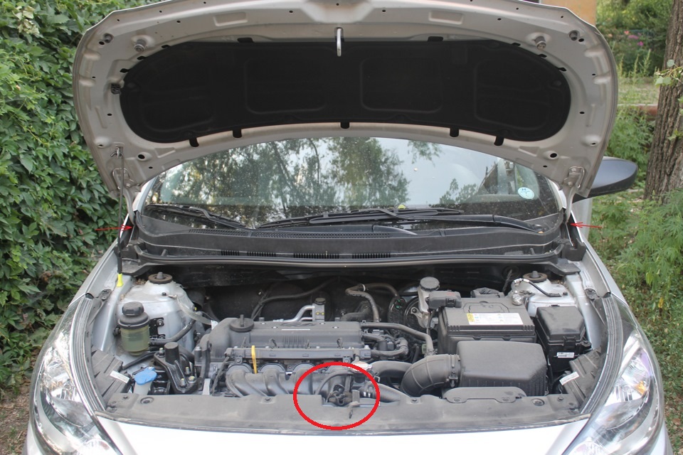 Проверка и смазка петлей и замка капота на автомобиле Hyundai Solaris