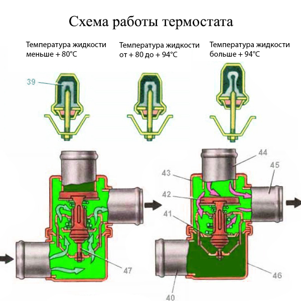 Замена термостата Форд Фокус 2