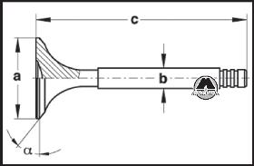 Размеры клапанов Skoda Rapid