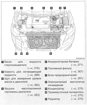 Название деталей капота. Под капотом Toyota Corolla 120 схема. Схема капота Королла 150. Двигатель Тойота Королла 1.6 150 кузов схема. Toyota Camry v50 схема под капотом.