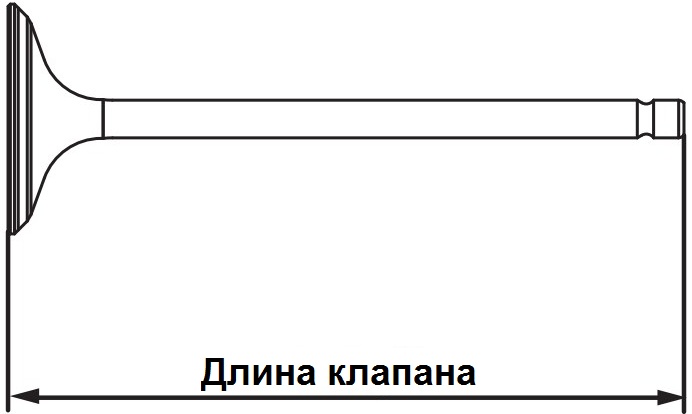 Длина клапана газораспределительного механизма двигателя 4B12 Citroen C-Crosser