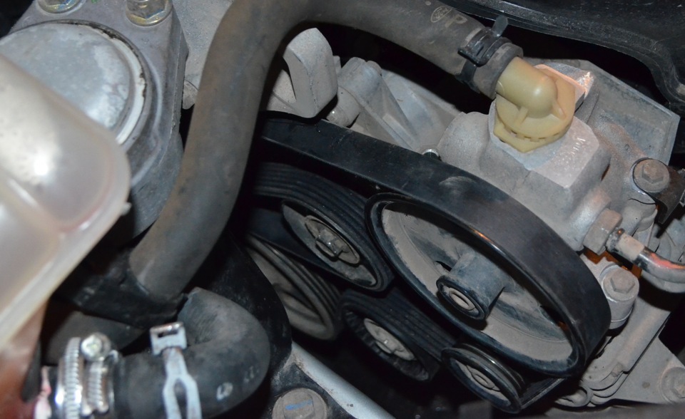 Ремень привода вспомогательных агрегатов Ford Focus 2 