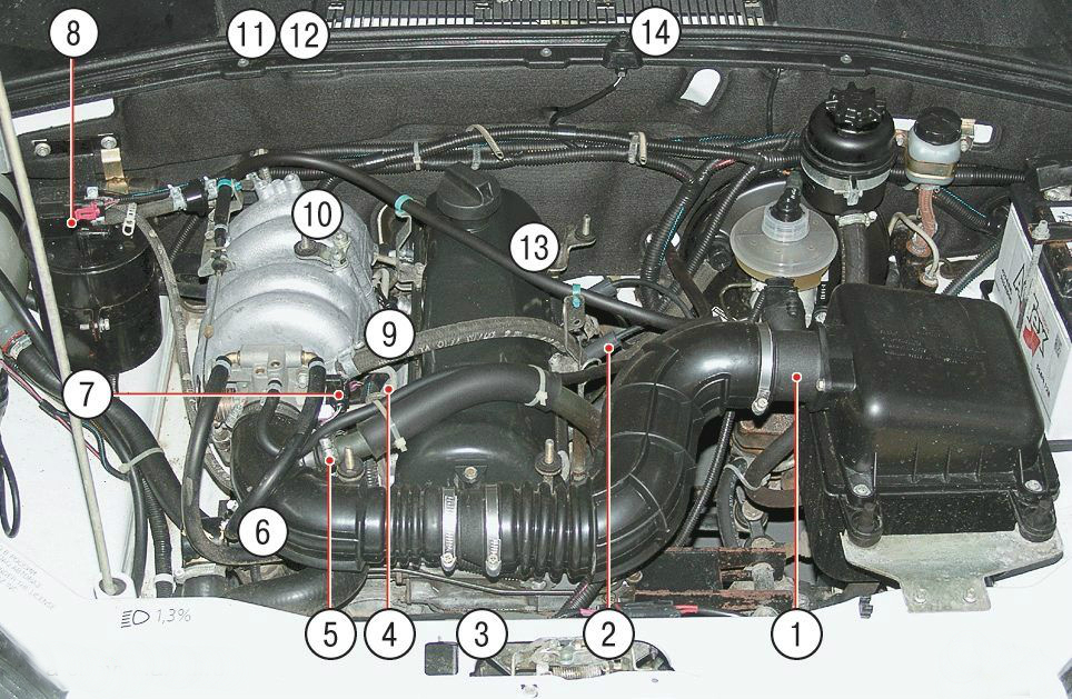 Расположение элементов системы управления двигателем в подкапотном пространстве Chevrolet Niva