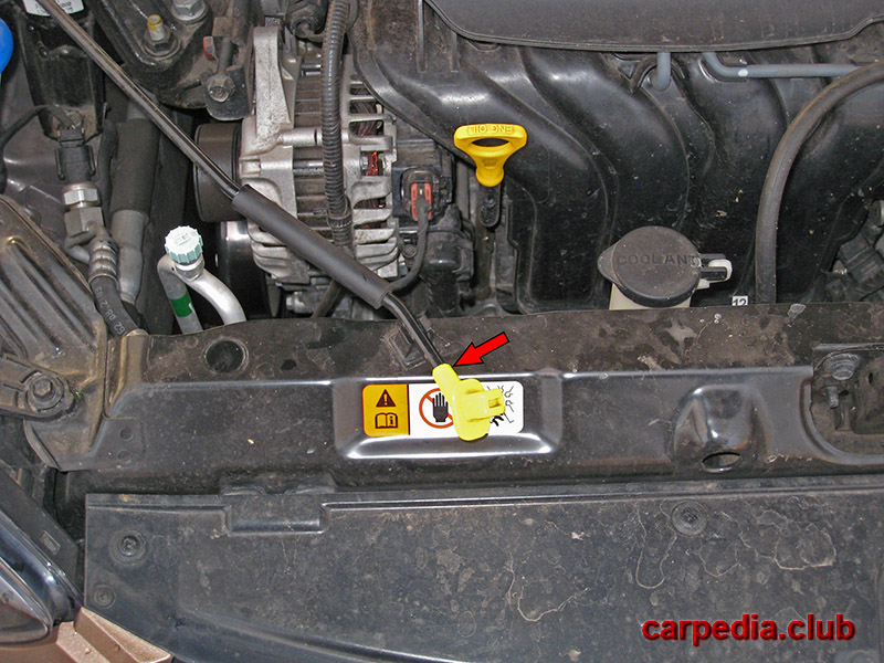 Расположение упора капота на автомобиле Hyundai Elantra J5 MD