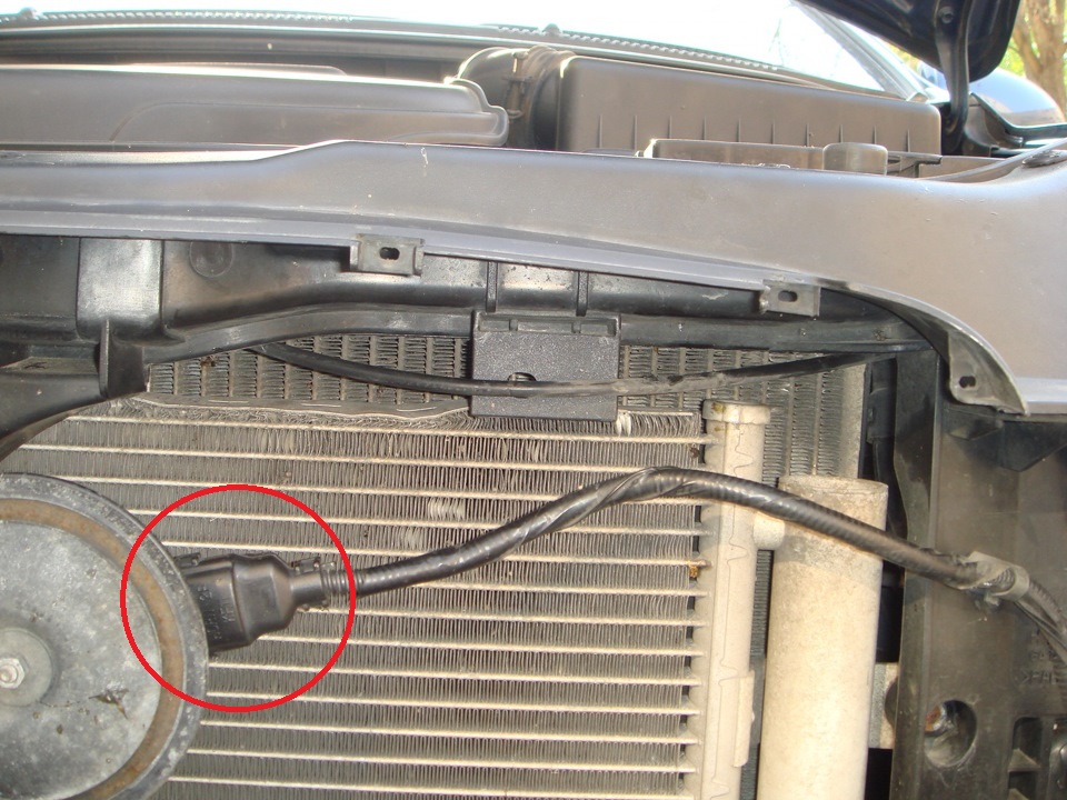 Расположение колодки проводов звукового сигнала на автомобиле Hyundai Accent MC