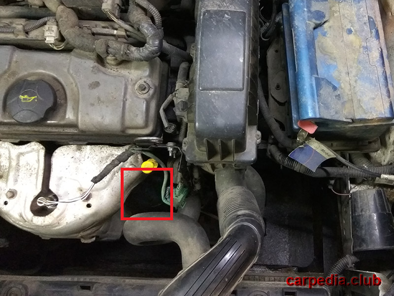 Расположение корпуса масляного фильтра Citroen Berlingo 1