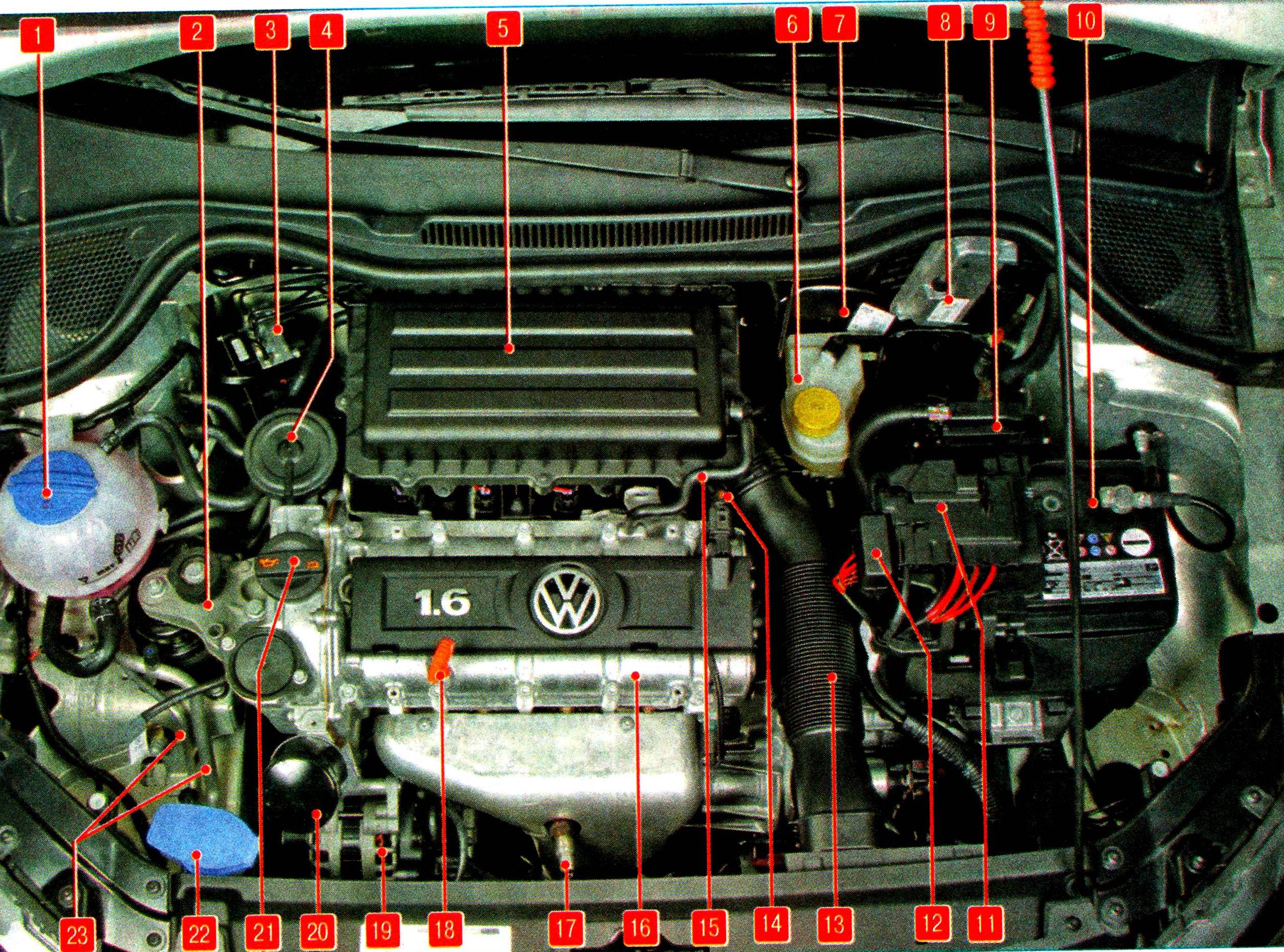 Расположение узлов и агрегатов под капотом Volkswagen Polo